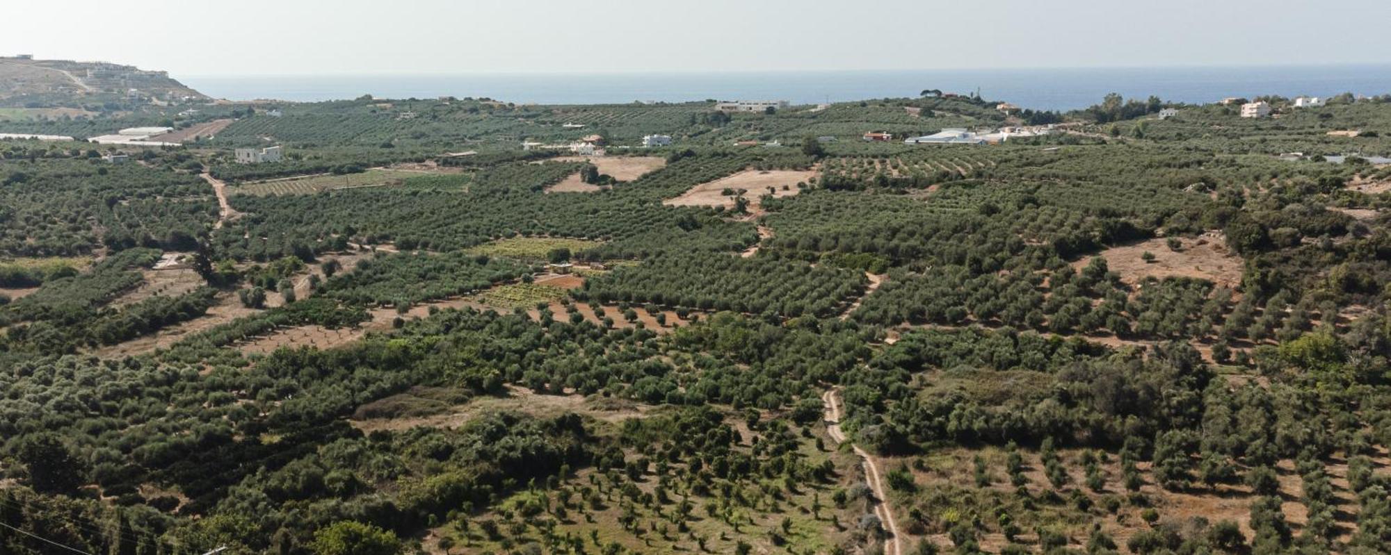 Andromache Villas Roumeli Экстерьер фото